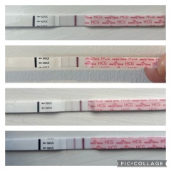 Dec-Christmas Babys 2024