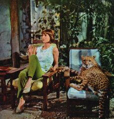 Films where the costume department and designers have got it right or clothes you’d want to wear?