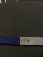 10dpo pregnancy tests