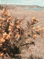 Come chat hiking with me!