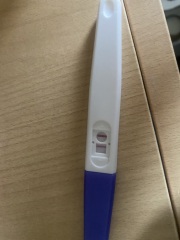 Am I really pregnant? Please help!