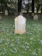 Any Witches here? Part 20