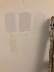 Help choosing wall paint and carpet colour