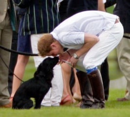 Royal Photographers and their iconic photographs: the best of the best