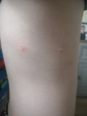 Anyone know what these are?