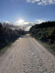 Come chat hiking with me!