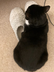 Thread 12 - TalkLair: “I say we take off and nuke the entire site from orbit. It's the only way to be sure.”