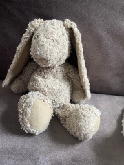 Please help - do you have a photo of a well-loved Jellycat bunny?