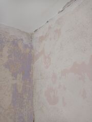 What would you do with these crappy walls?