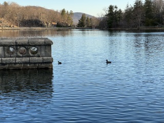 Come and tell me your dull and unexciting news 29: Calmly through the day