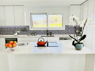 If you have a white kitchen, can you tell me what counter surface you have