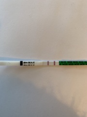 A line eye enthusiast #2