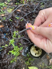Was it the gardeners? Help me solve this mystery please