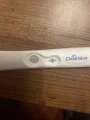 Clear blue evap line