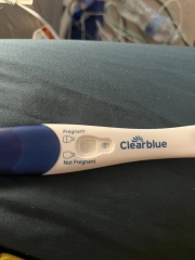 Clear blue test. Evap line or positive