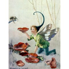 Any Witches here? Part 20