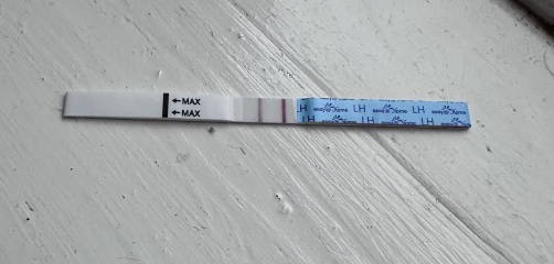 Ovulation tests baffle me!!! Pic included