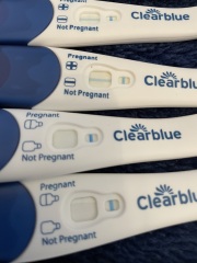 Potentially pregnant
