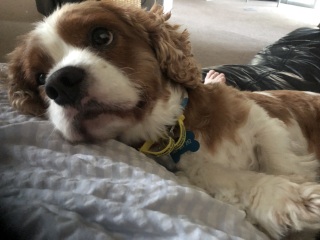 Come and tell me your dull and unexciting news 29: Calmly through the day