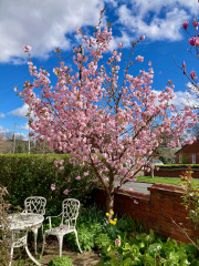 Thread 12 - TalkLair: “I say we take off and nuke the entire site from orbit. It's the only way to be sure.”