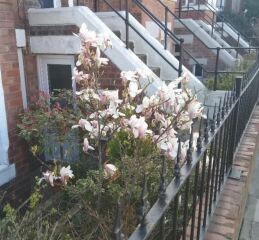 Thread 12 - TalkLair: “I say we take off and nuke the entire site from orbit. It's the only way to be sure.”