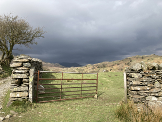 Come chat hiking with me!