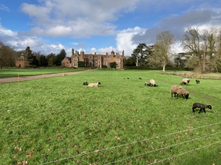 Come and tell me your dull and unexciting news 29: Calmly through the day