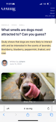 Sick and tired of being jumped on by random dogs in the park
