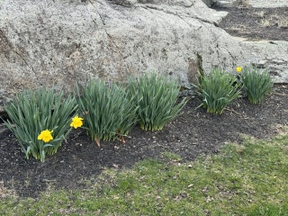 Come and tell me your dull and unexciting news 29: Calmly through the day