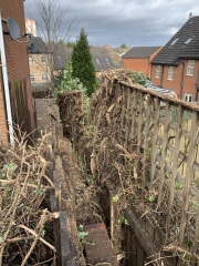 To think you can’t just cut someone’s bushes down?