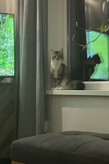 What else can i do and where else can i look?