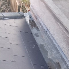 Drain has stagnant water in. Any ideas?