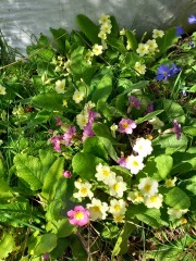 Any Witches here? Part 20