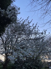 Thread 12 - TalkLair: “I say we take off and nuke the entire site from orbit. It's the only way to be sure.”