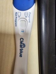 Possible Pregnant?