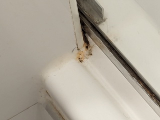 To think this is vile (hotel room)