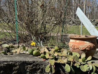 Come and tell me your dull and unexciting news 29: Calmly through the day