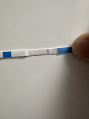 Wondfo pregnancy test