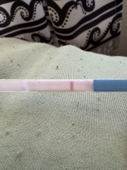Pregnancy test