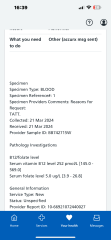 PLEASE HELP BLOOD RESULTS
