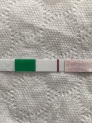 A line eye enthusiast #2