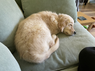 Stage 4 cancer... ? incurable? Thread #2 is here.  In memory of our inspiring, lovely mowly77