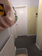 Pale yellow walls, what colour flooring?