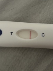 BFP or bad Evap? Wondfo tests 12dpo