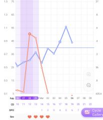When did I ovulate?