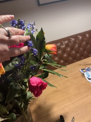 Why are my cut roses dropping after 1 day?