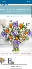 Mother's Day Flowers - Would you be happy?