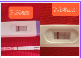 Clear blue BFP then faded in 10 hours