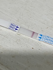 Evap or faint line 12DPO