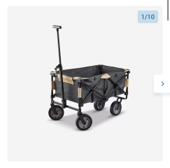 Bringing a trolly instead of a pushchair?